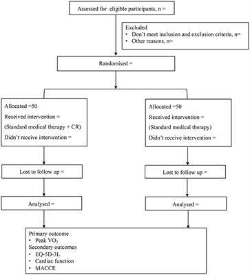 The proGnostic role of caRdiac rehAbilitation in patients with left ventriCular anEurysm formation after anterior myocardial infarction (the GRACE study): Study rationale and design of a prospective randomized controlled trial